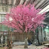 Pink5