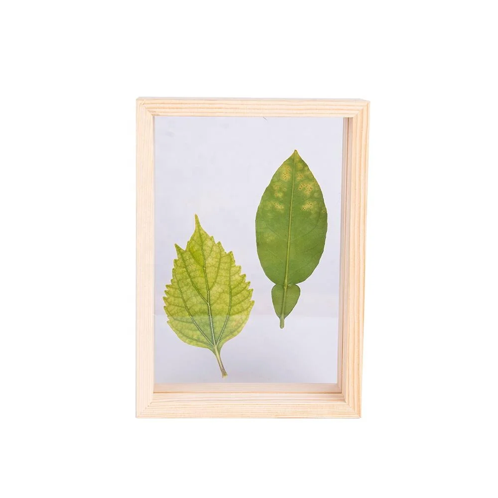 
Деревянные фоторамки 4x6, двусторонние акриловые рамки для гербаритов, растений, рамка для образцов, декор стола для отображения высушенных листьев и цветов 