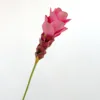 Rosa oscuro