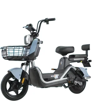 SAIGE K9 Electric tricycle high quality with good price