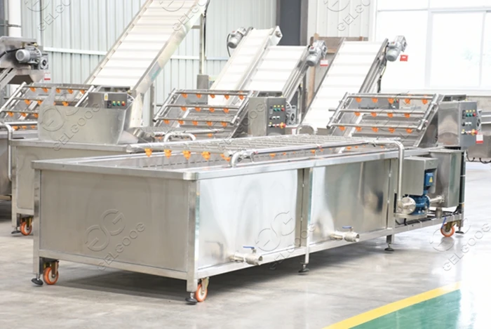 Commercial Avocado Fruit Cleaning Drying Sorting Waxing Processing Line Fresh Fruit Mango Apple Cleaning Machine