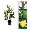 Árbol de limón artificial de 0,6 m con múltiples tallos