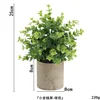 Small money grass powder-free ahe379-066
