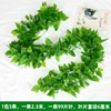 5 pieces of 99-leaf glossy pothos