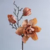 สีส้ม