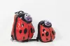 Ladybug