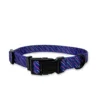 Purple background with colorful stripes