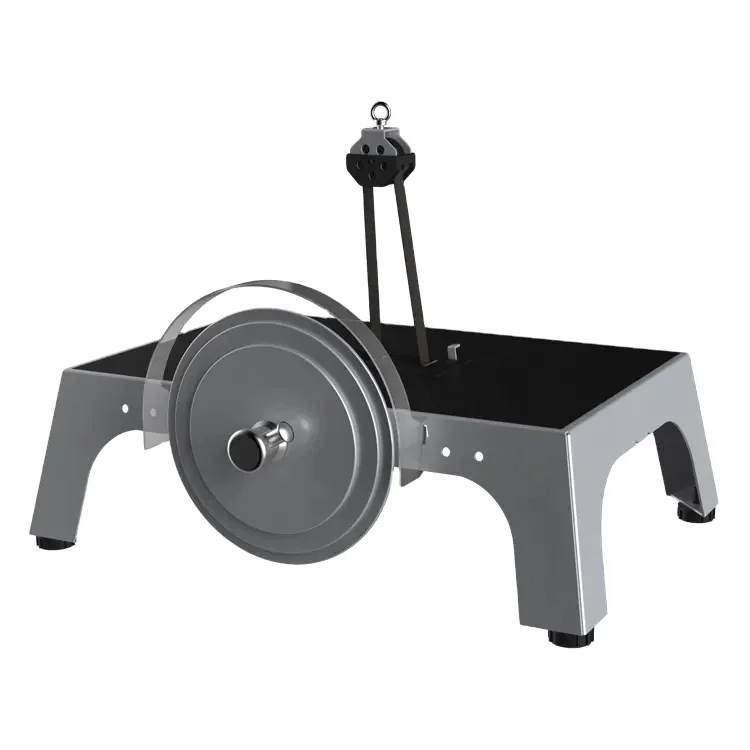 Skyboard 3 Flywheels Eccentric Overload Variable Fitness Equipment for Centrifuge Flywheel Trainer