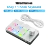 RGB 6 Key Wired-white