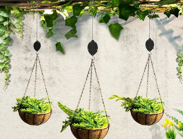 6/4/2 pièces Max 30LB 37 poulie rétractable réglable panier suspendu tirer vers le bas jardin Pots de plantes crochet de fleur acheter à prix bas - livraison gratuite, avis réels avec des photos