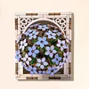 style7(Hortensia)