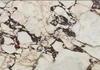 Calacatta viola