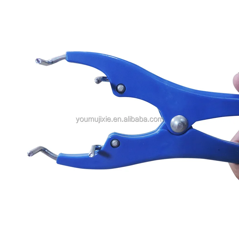 Veterinary Blue Castration Pliers Stainless Steel Piglet Lamb Bloodless ...