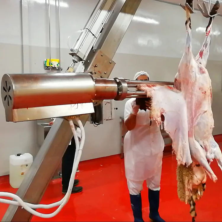 Sheep slaughterhouse plants 100 goat meat slaughterhouses per day