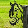 Caballo 1