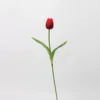 Bouton de tulipe (rouge)