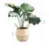 Tropical Curled Palm + BIG Seagrass Basket