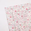 Cherry Blossom Romance