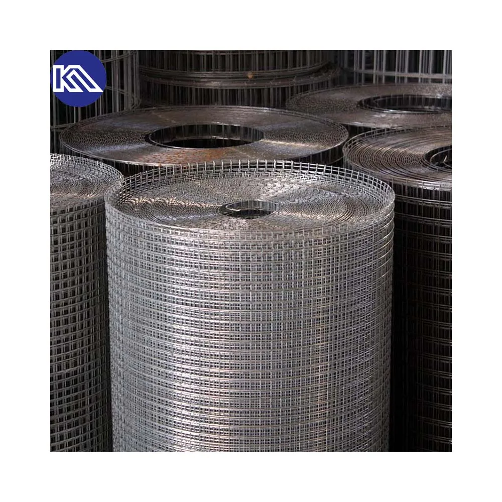 Philippines 1/2"x1/2" Welded Iron Wire Mesh Fence Galvanized Welded Wire Mesh 30m Per Roll for Bird Cages