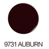 9731AUBURN