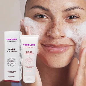 Sulfate-Free Facial Cleanser Rose Extract Niacinamide & Mint Extract Soothing Oil-Control Cleanser for Deep Cleans Dirt