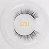 SZ01