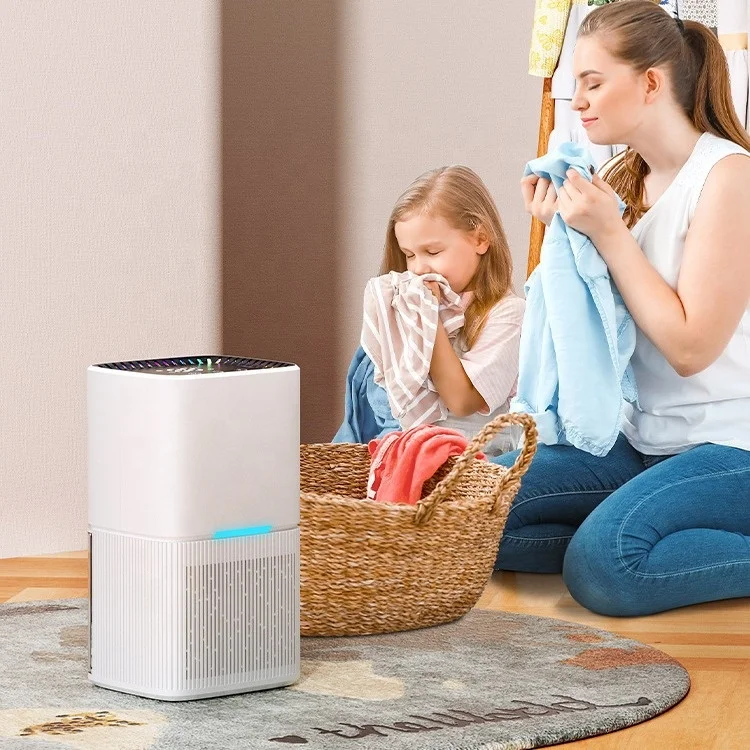 多機能タッチコントロールパネル付きコンパクト電動除湿器 取り外し可能な水タンク お手入れ簡単 理想的 3