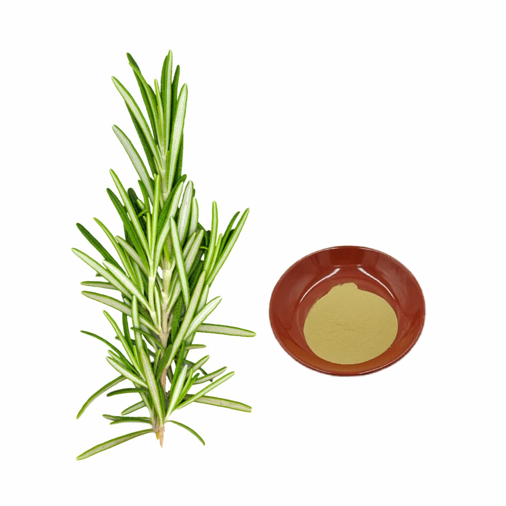 Rosemary Extract Rosemarinic Acid 550 / Carnosic Acid 1060