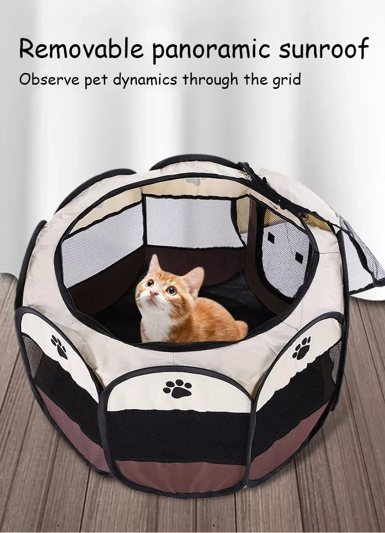 rent cat carrier