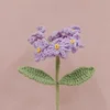 สีม่วง