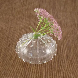 OEM Hand Blown Modern Small Clear Borosilicate Glass Sea Urchin Bud Vases for Home Office Wedding Floral Decoration