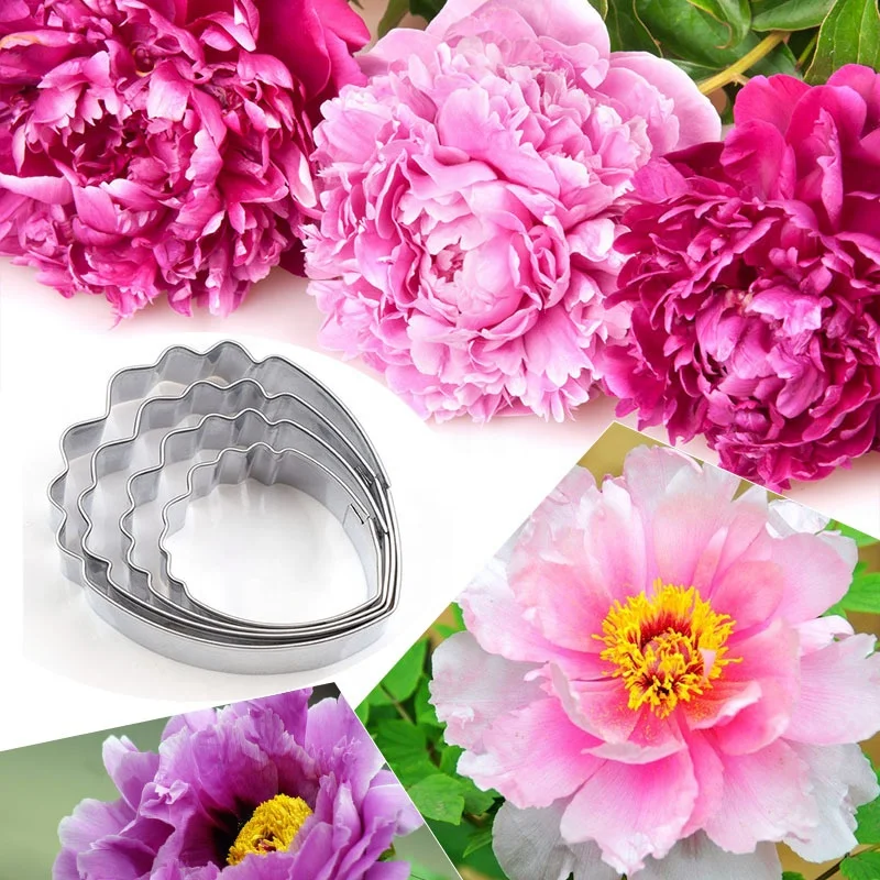 牡丹花硅胶模具刀具软糖gumpaste粘土水纸花模具蛋糕装饰工具叶烹饪工具韦德 Buy 叶烹饪工具婚庆装饰烘烤硅胶模具翻糖模具diy蛋糕糖果糖工艺 不锈钢英语糖花切割模具牡丹花瓣模具