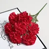 Rosa rossa
