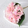 rosa3
