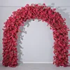 11# rosa