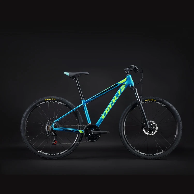 Forge mountain best sale bike price