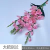 Large bunch of gladiolus YM pink