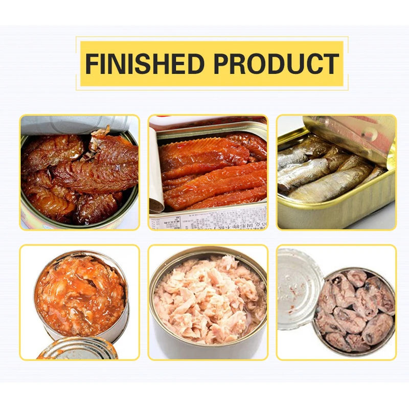 TCA High Quality Automatic China Fish Processing Equipment for Canned Fish Production Line
