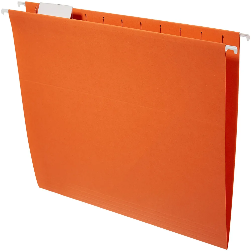 Suspension File A4 Plastic Printing Custom Letter Size  Filing Hanging Hanging File Organizer Folder