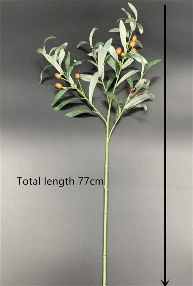 monstera thai constellation xl Monstera Thai Constellation XL starter plant **(ALL plants require you to  purchase ANY 2 plants!)**