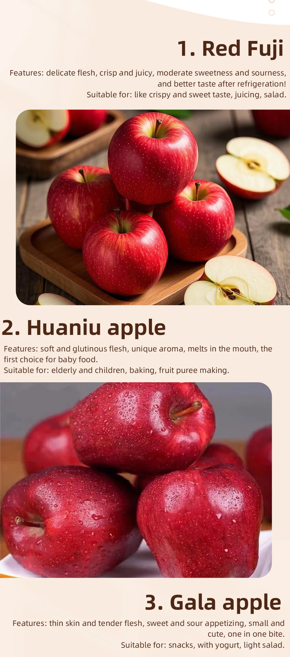 Organic FUJI Apples Clean Farming Seasonal Produce Fresh Sweet and Juicy Fruit