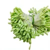 13 frutas verdes