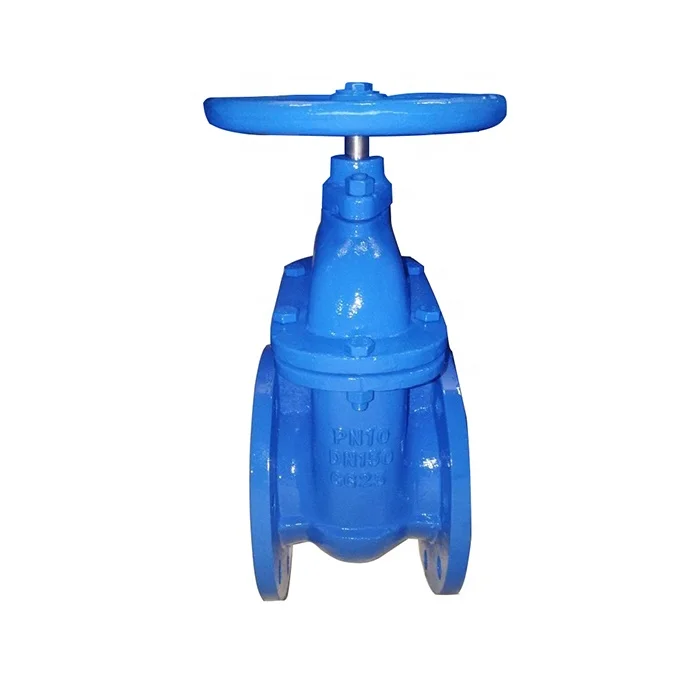 Обратный клапан поворотный pn16 ду 100. Rsv33. Чугун gg25. Чугун gg25. Фланцевый вентиль dn50 pn25.