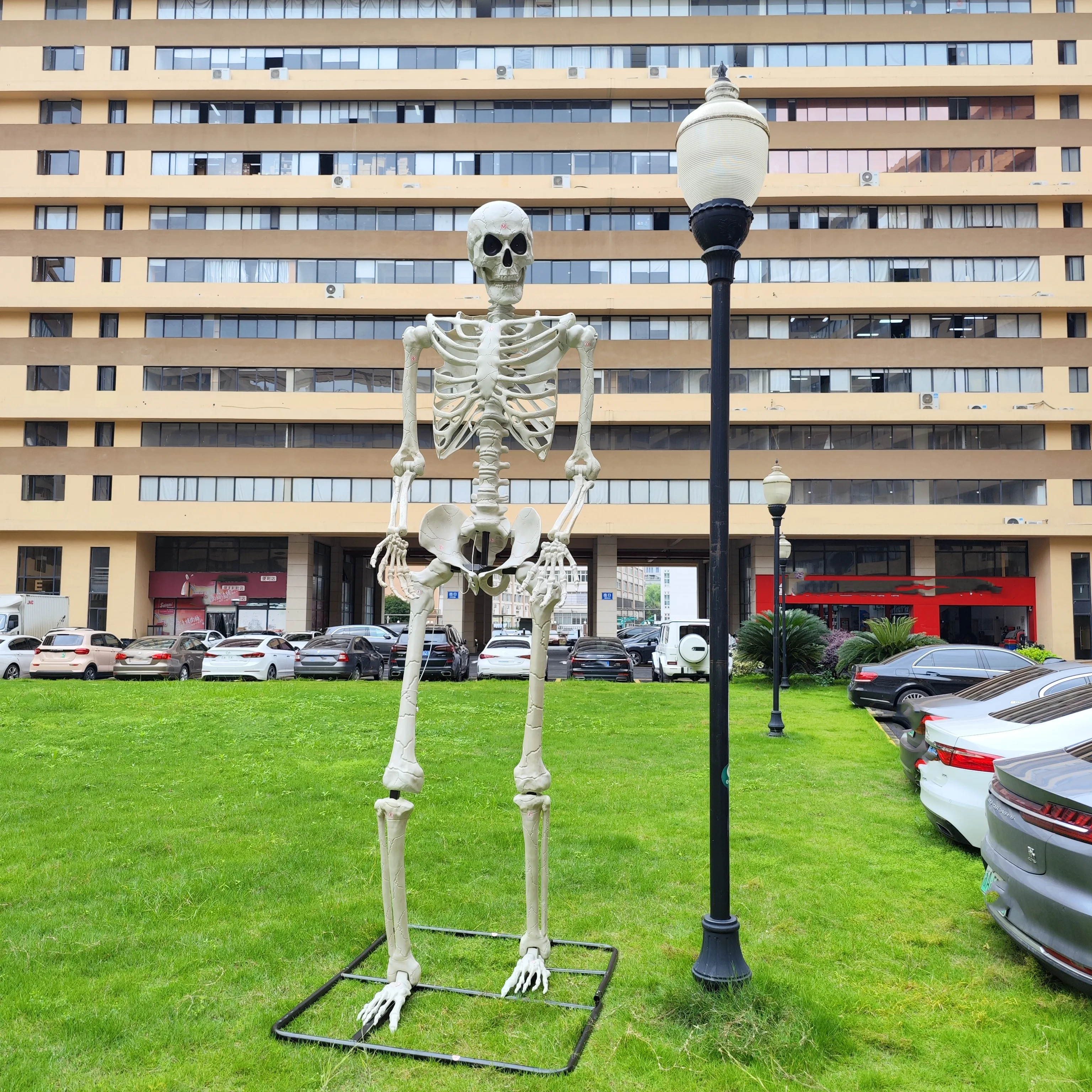 165 cm Halloween levensgroot skelet volledig menselijk bot