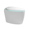 Auto(tankless)
