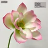 Flores de loto rosa florecientes