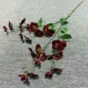 6#