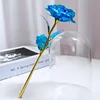 Nuovi fiori blu nude