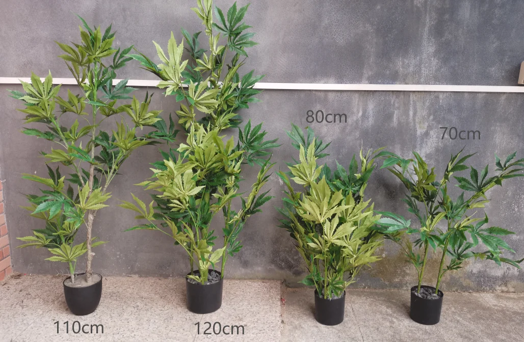 Home Decor Knstliche Cannabis Tisch pflanzen Langlebige geflschte  Schlangen pflanze 50-120CM 5-8 Jahre Innen lebensdauer fr stilvolle  Innenrume| Alibaba.com