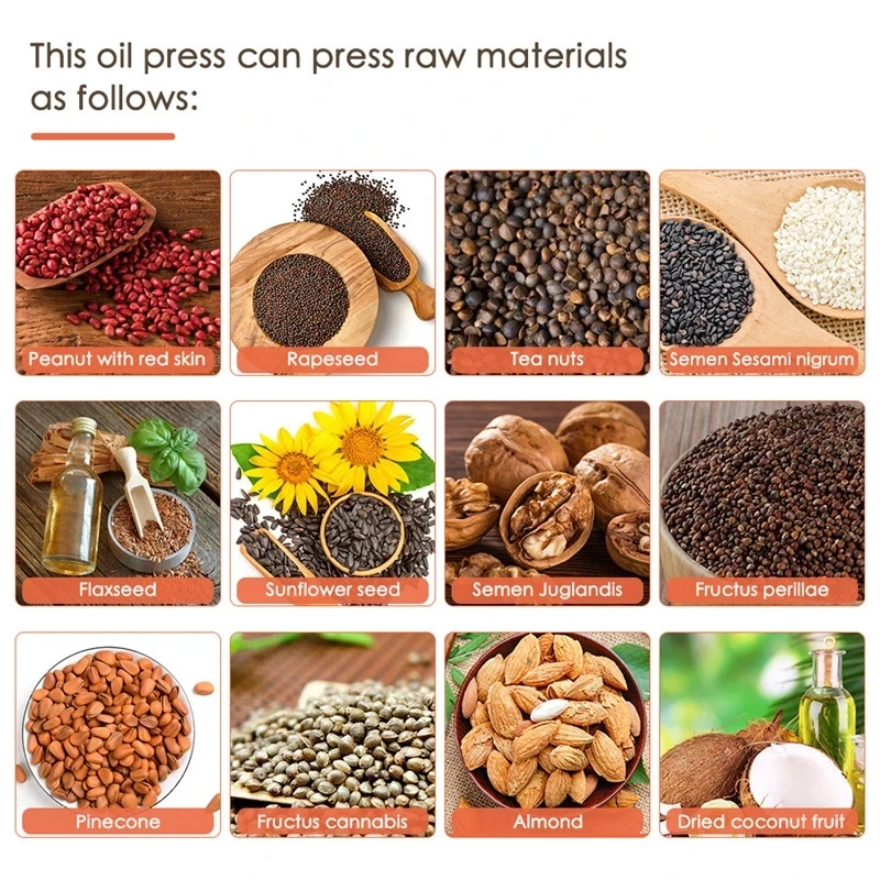 Hot sale all kinds of seeds mini automatic oil extract machine home cold oil press machine with best price